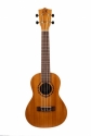 BUC23 Concert Ukulele - Natural