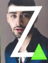 Zayn Die offizielle Auobiographie