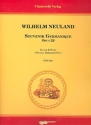 Souvenir germanique op.29 fr Gitarre und Klavier