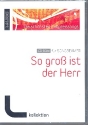 So gro ist der Herr CD-ROM fr SongBeamer (nur nutzbar in Verbindung mit SongBeamer Software)