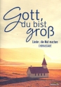 Gott du bist gro fr gem Chor und Instrumente Chorpartitur