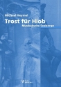 Trost fr Hiob  Musikalische Seelsorge broschiert