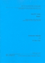 Neue Schubert-Ausgabe Serie 4 Band 7 Lieder Band 7 Kritischer Bericht
