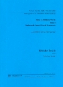 Neue Schubert-Ausgabe Serie 5 Band 6 Sinfonische Entwrfe und Fragmente Kritischer Bericht