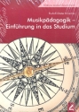 Musikpdagogik - Einfhrung in das Studium 3. unvernderte Auflage