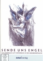 Sende uns Engel (+2 DVD) Liederbuch mit Einfhrung in die Gebrdensprache