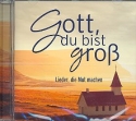 Gott du bist gro  CD