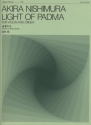 Light of Padma Violine und Orgel