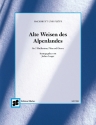 Alte Weisen des Alpenlandes fr Hackbrett und Flte Langer, Jochen,  Hrsg.