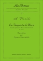 La Tempesta di mare op.10,1 per organo