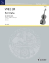 Serenade G-Dur op.3,1 fr Violine und Klavier