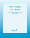 Ave Christe fr 3 gleichstimmige Chre und Orchester Partitur
