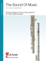 The Sound of Music for flute ensemble score and parts