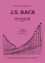 Bist du bei mir BWV508 per tromba e organo