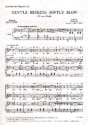Johann Strauss II: Gentle Breezes, Softly Blow 2-Part Choir, Piano Accompaniment Vocal Score