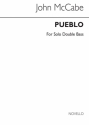 John McCabe, Pueblo Double Bass Buch