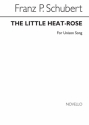 Franz Schubert, The Little Heath Rose Vocal and Piano Buch