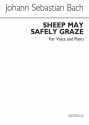 Johann Sebastian Bach, Sheep May Safely Graze - Voice/Piano Vocal and Piano Buch