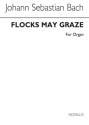 Johann Sebastian Bach, Flocks May Graze (Air From Cantata 208) Orgel Buch