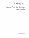 How To Practise Sevcik's Mastserworks for violin