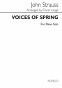 Strauss Voices Of Spring Piano Klavier Buch