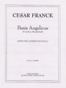 Cesar Franck: Panis Angelicus (Medium Voice/Piano) Medium Voice, Piano Accompaniment Instrumental Work
