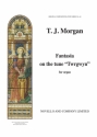 Thomas J. Morgan, Fantasia On 'Twrgwyn' Orgel Buch