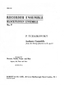 Andante Cantabile from string quartet d major op.11 for SATB recorders score