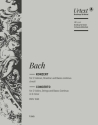 Konzert d-Moll BWV1043 für 2 Violinen, Streicher und Bc Viola