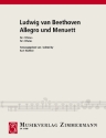 Allegro und Menuett für 2 Flöten 2 Spielpartituren