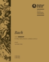 Konzert d-Moll nach BWV1060 für Oboe, Violine, Streicher und Bc Violoncello / Kontrabass