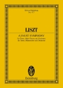 A Faust Symphony für Tenor, Männerchor und Orchester Studienpartitur