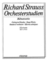 Orchesterstudien aus Bhnenwerken Band 2 fr Klarinette 1 in A/B/C