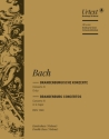 Brandenburgisches Konzert G-Dur Nr.4 BWV1049 für Orchester Kontrabass