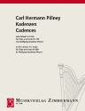 Kadenzen zum Konzert C-Dur KV299 fr Flte und Harfe