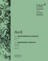 Brandenburgisches Konzert F-Dur Nr.2 BWV1047 für Orchester Blockflöte solo