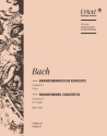 Brandenburgisches Konzert F-Dur Nr.2 BWV1047 für Orchester Violine 2