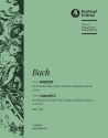 Konzert a-Moll BWV1044 für Flöte, Violine, Cembalo und Streicher Cembalo solo