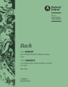 Konzert C-Dur BWV1064 für 3 Cembali und Streicher Cembalo 1