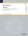 Sonata g-Moll fr Alt-Blockflte (Flte, Oboe, Violine) und Basso continuo (Cembalo