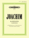 Kadenzen zu Beethoven op.61, Brahms op.77, Mozart KV218, KV219 fr Violine Viotti Nr.22a