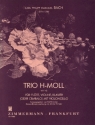 Trio h-Moll fr Flte, Violine und Klavier Partitur und Stimmen