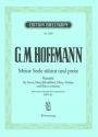 Meine Seele rhmt und preist Kantate Nr.189 BWV189 Klavierauszug (dt)