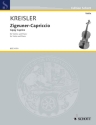 Zigeuner-Capriccio Nr. 10 fr Violine und Klavier