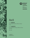Konzert d-Moll BWV1063 fr 3 Cembali und Streicher Cembalo 2