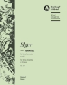 Serenade e-Moll op.20 fr Streichorchester Violine 1