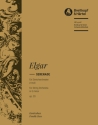 Serenade e-Moll op.20 fr Streichorchester Kontrabass