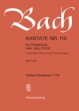 Du Friedefrst Herr Jesu Christ Kantate Nr.116 BWV116 Klavierauszug (dt/en)