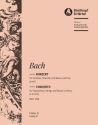 Konzert g-Moll BWV1058 fr Cembalo und Streicher Violine 2
