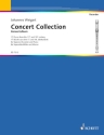 Konzertalbum fr Sopranblockflte und Klavier